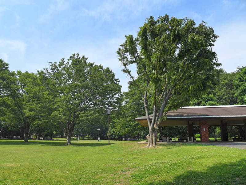 公園